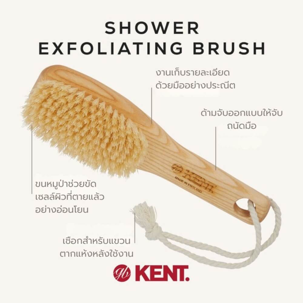 แปรงอาบน้ำขนหมูป่าแท้ KENT รุ่น FD6 แบบมีด้าม