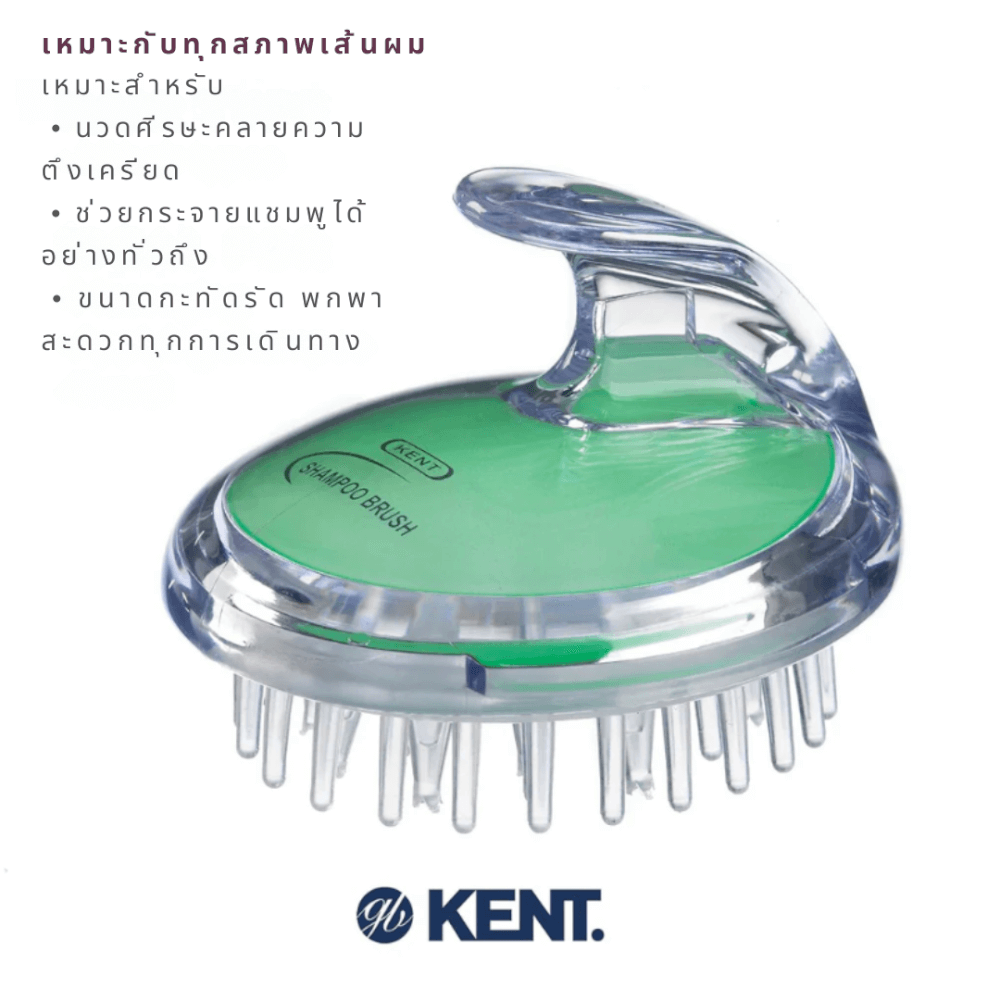 แปรงสระผม KENT SHAMPOO AND SCALP MASSAGE BRUSH สีเขียว