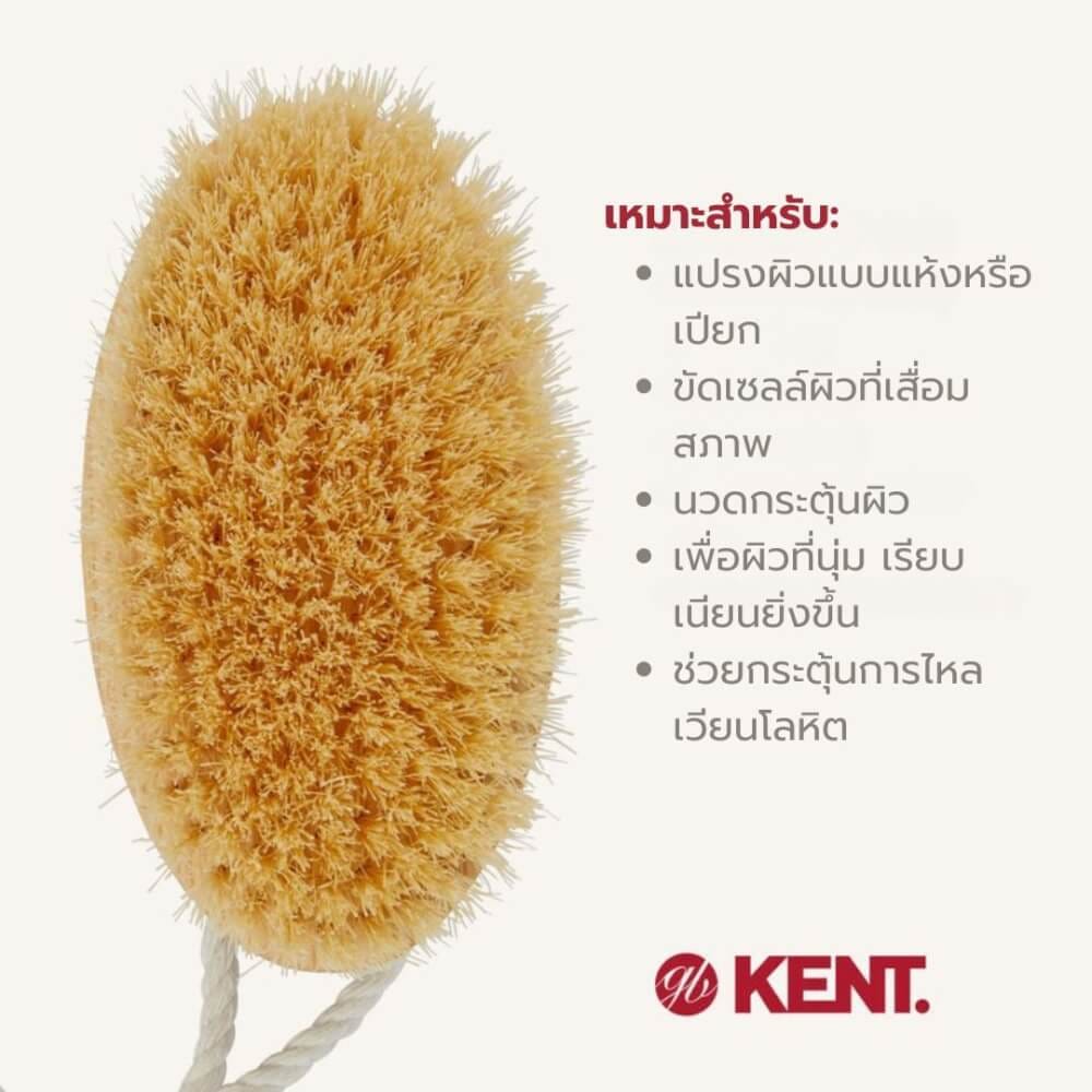 แปรงขัดผิวขนหมูป่าขาวแท้ KENT FD11 ด้ามไม้วงรี สำหรับอาบน้ำและผลัดเซลล์ผิว