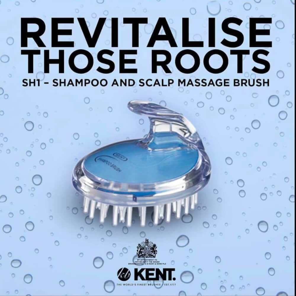แปรงสระผม KENT SHAMPOO AND SCALP MASSAGE BRUSH สีฟ้า
