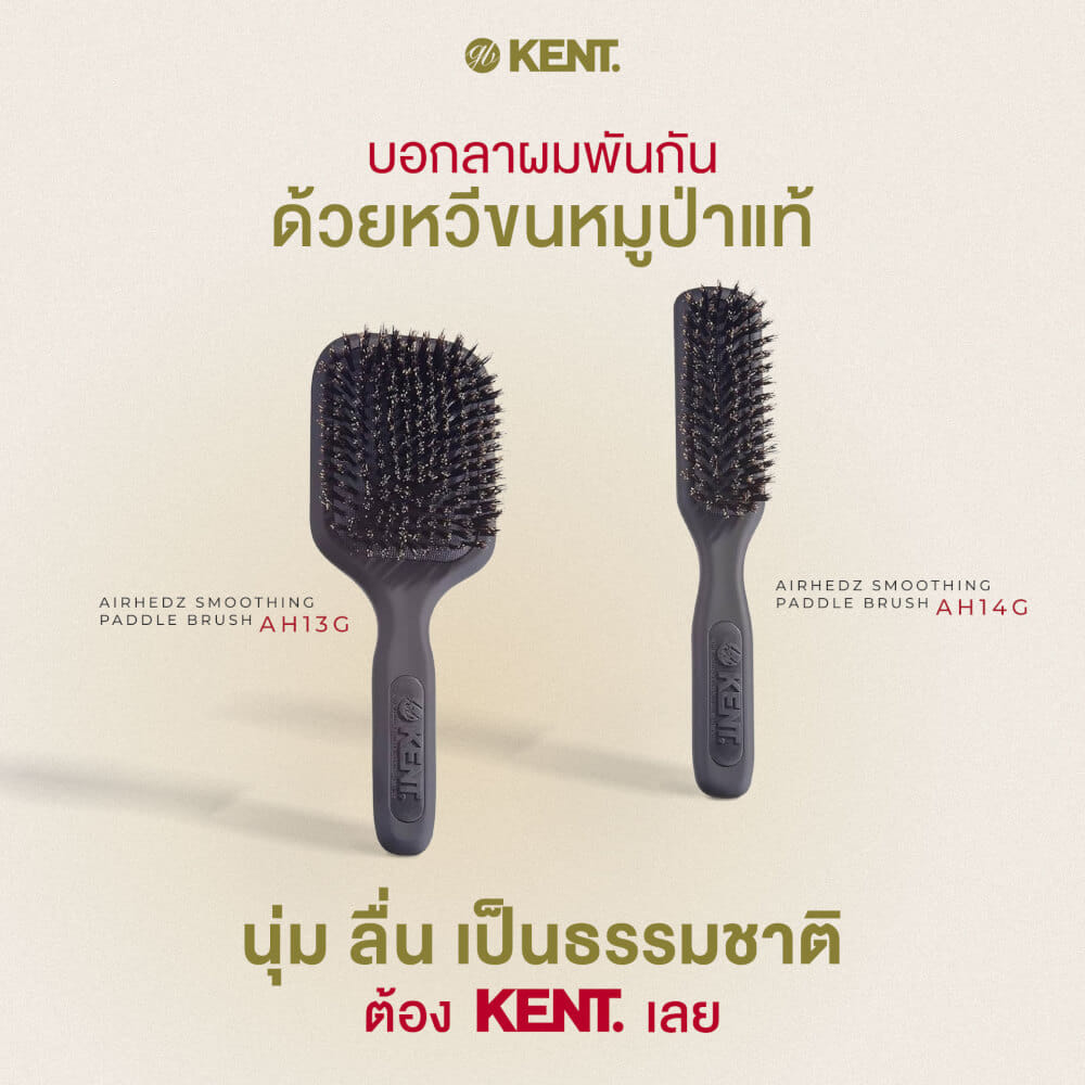 หวีแปรงขนหมูป่าแท้ KENT รุ่น AH14G AIRHEDZ หัวแคบ