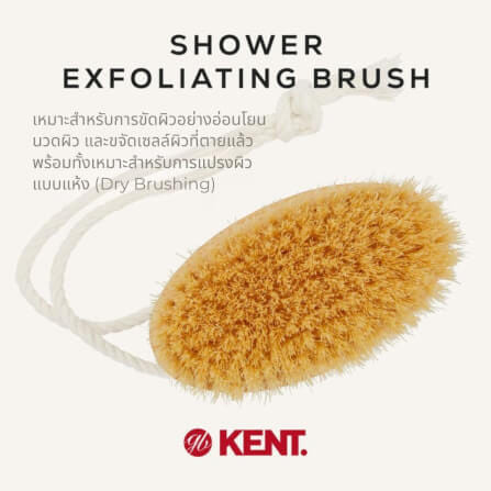 แปรงขัดผิวขนหมูป่าขาวแท้ KENT FD11 ด้ามไม้วงรี สำหรับอาบน้ำและผลัดเซลล์ผิว_2