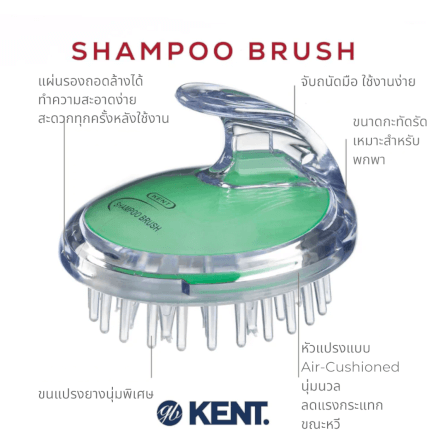 แปรงสระผม KENT SHAMPOO AND SCALP MASSAGE BRUSH สีเขียว_3