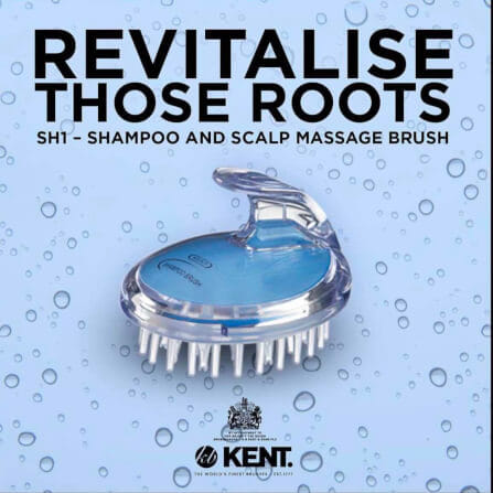 แปรงสระผม KENT SHAMPOO AND SCALP MASSAGE BRUSH สีฟ้า_11