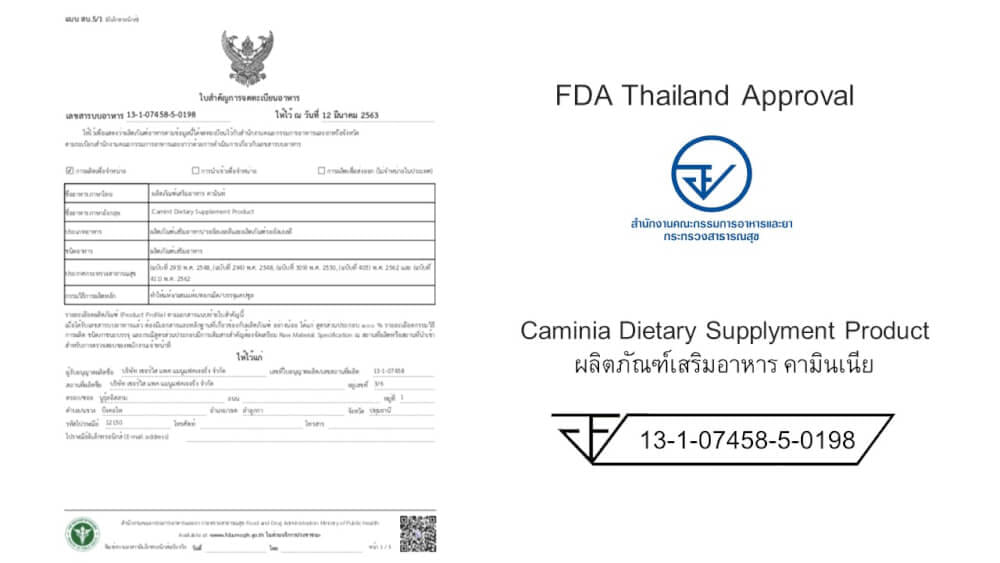 ผลิตภัณฑ์อาหารเสริม คามินเนีย แบบกล่อง ขนาด 60 แคปซูล