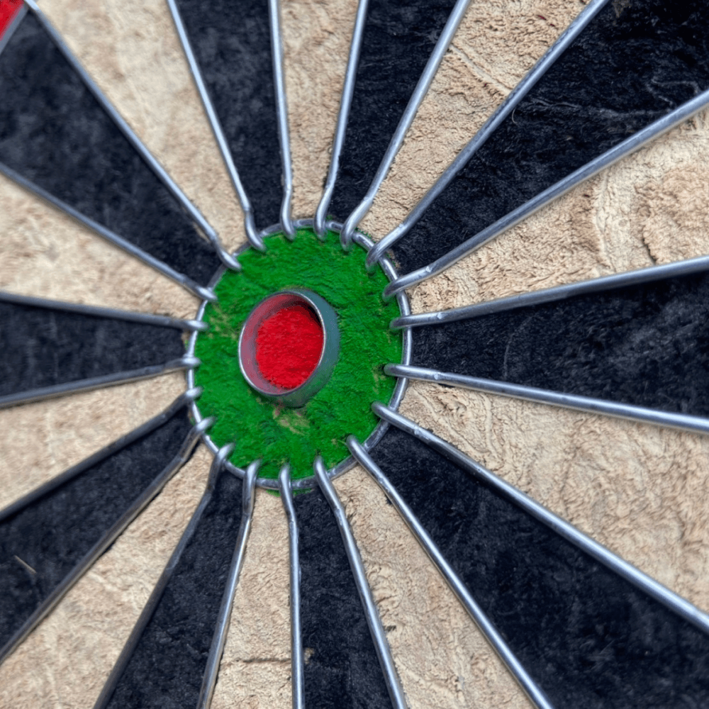 กระดานปาเป้า SIAMDARTS BRISTLE_3