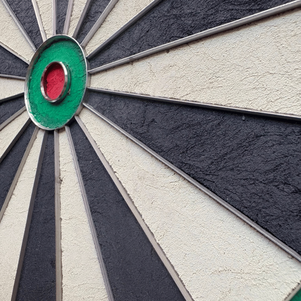 กระดานปาเป้า CHAMP DARTBOARD 18"