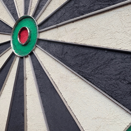 กระดานปาเป้า CHAMP DARTBOARD 18
