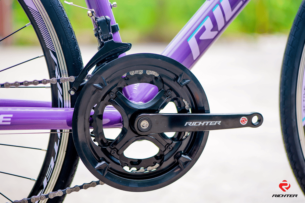 จักรยานเสือหมอบ RICHTER ACTIVE ขนาดวงล้อ 700C ไซส์ 46 สีเทา_5