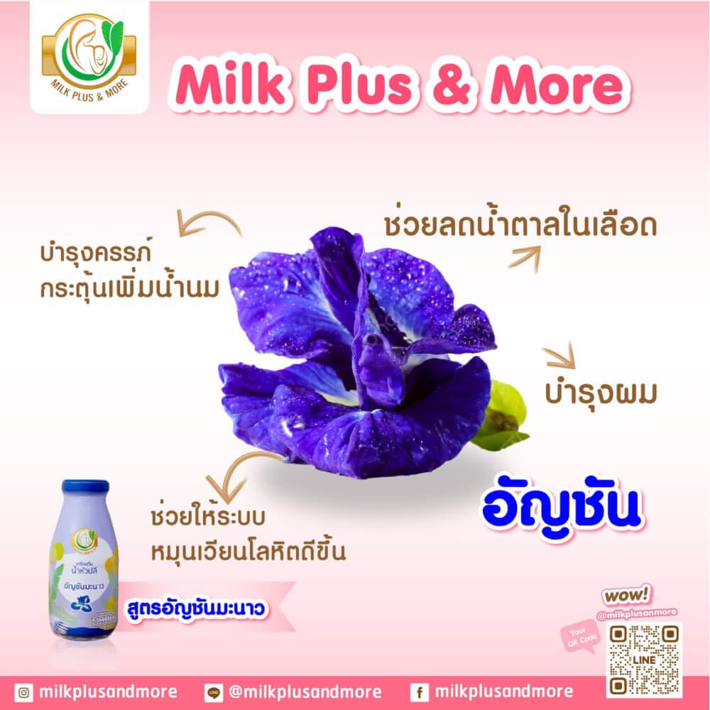 น้ำหัวปลี มิลค์ พลัส แอนด์ มอร์ สูตรอัญชันมะนาว 250 มล. 12 ขวด_1