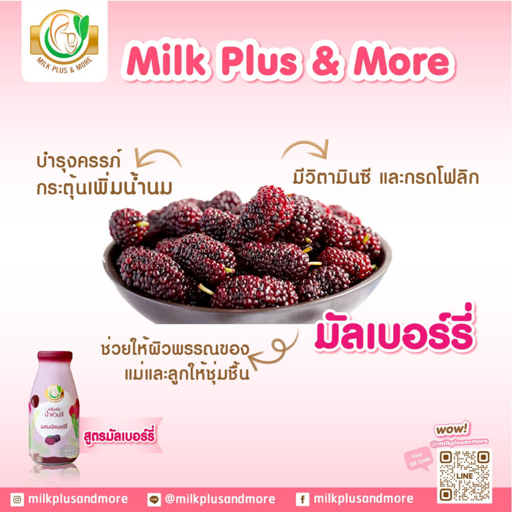 น้ำหัวปลี มิลค์ พลัส แอนด์ มอร์ สูตรมัลเบอร์รี่ 250 มล. 24 ขวด_1
