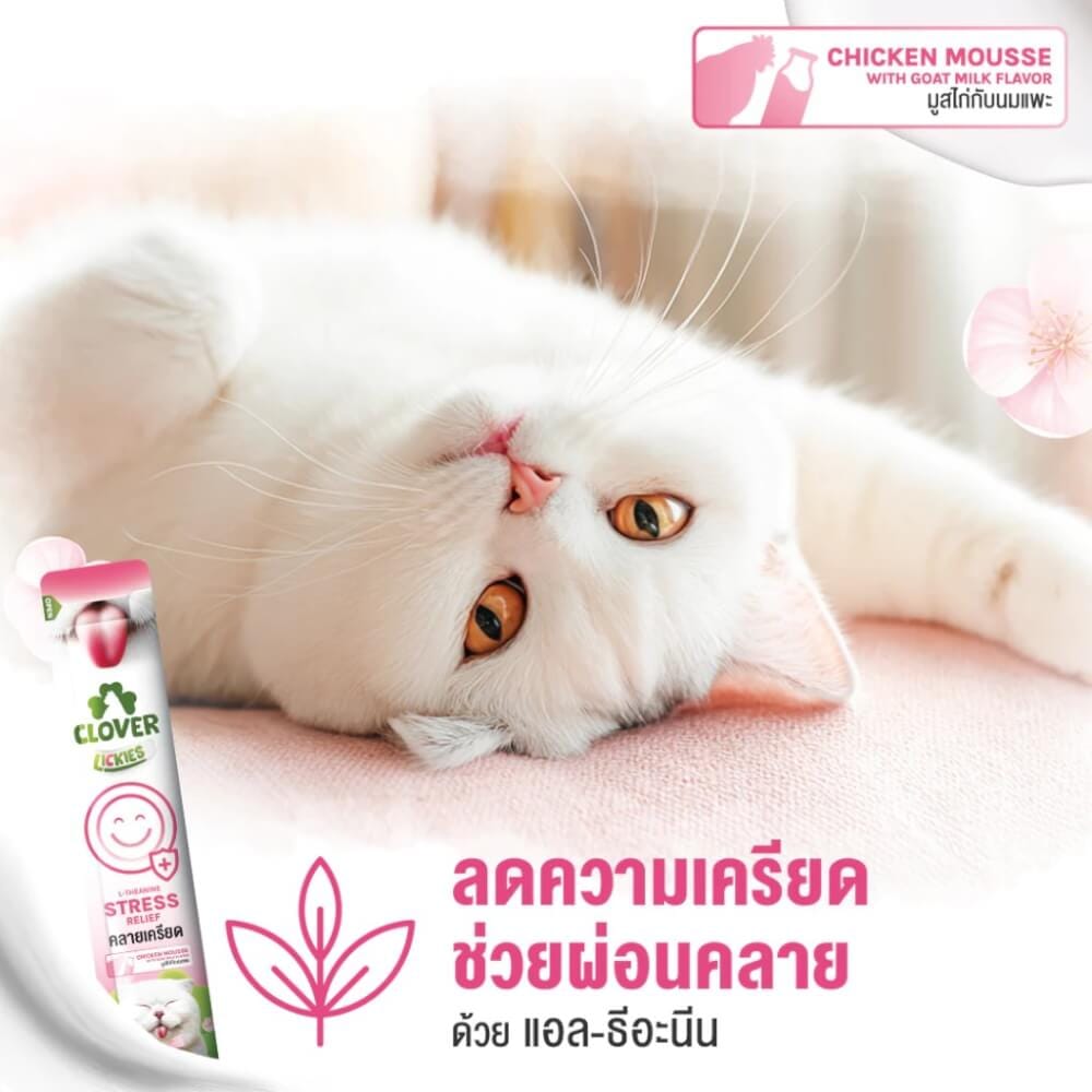ขนมแมวเลีย CLOVER วิตามินแมวเลียคละสูตร แพ็ก 3 ชิ้น_2