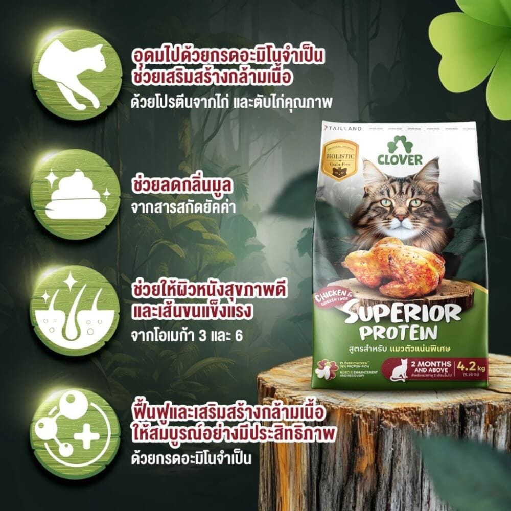 อาหารแมว CLOVER สูตร SUPERIOR PROTEIN สำหรับแมวตัวแน่นพิเศษ เกรด HOLISTIC GRAIN-FREE โซเดียมต่ำ (1 KG)_2