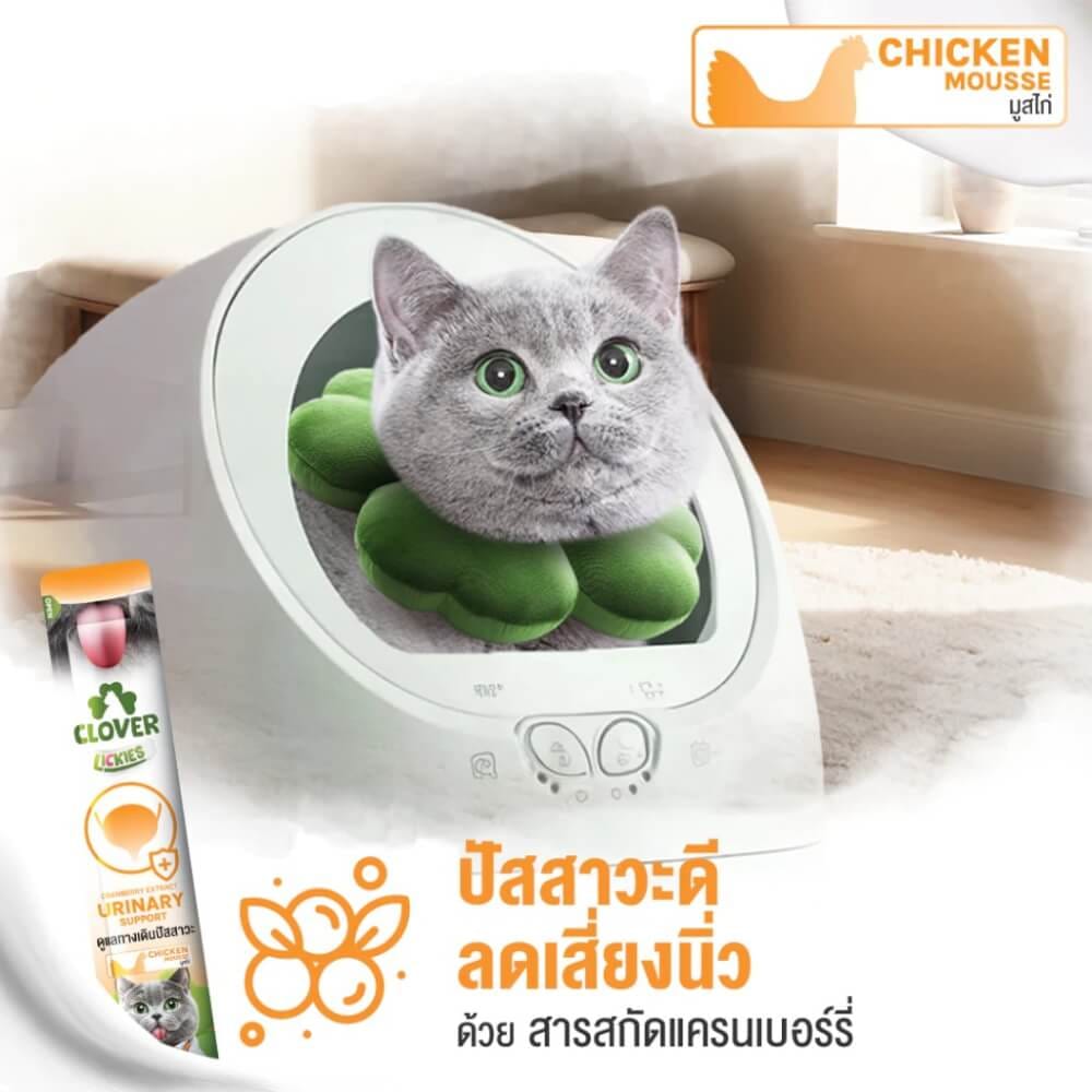 ขนมแมวเลีย CLOVER วิตามินแมวเลียคละสูตร แพ็ก 3 ชิ้น_3