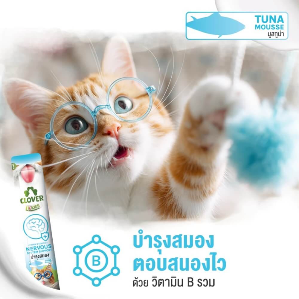 ขนมแมวเลีย CLOVER วิตามินแมวเลียคละสูตร แพ็ก 3 ชิ้น_4