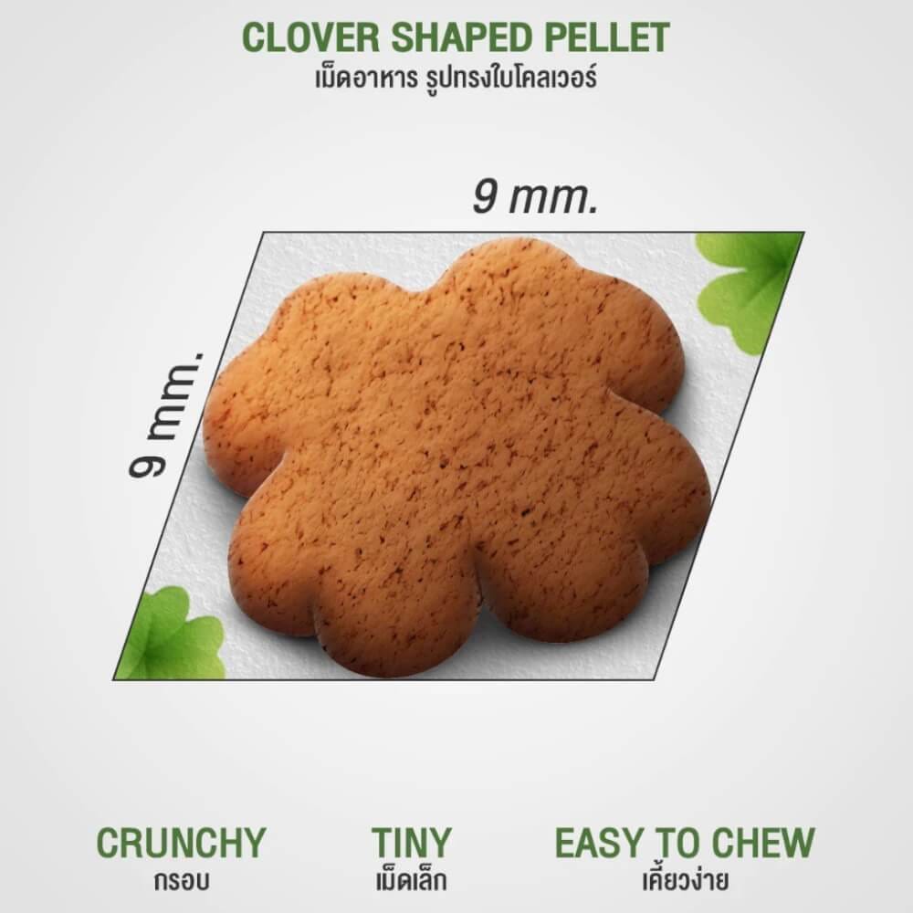อาหารแมว CLOVER สูตร INDOOR สำหรับแมวเลี้ยงในบ้าน เกรด HOLISTIC GRAIN-FREE โซเดียมต่ำ ( 4.2 KG)_4