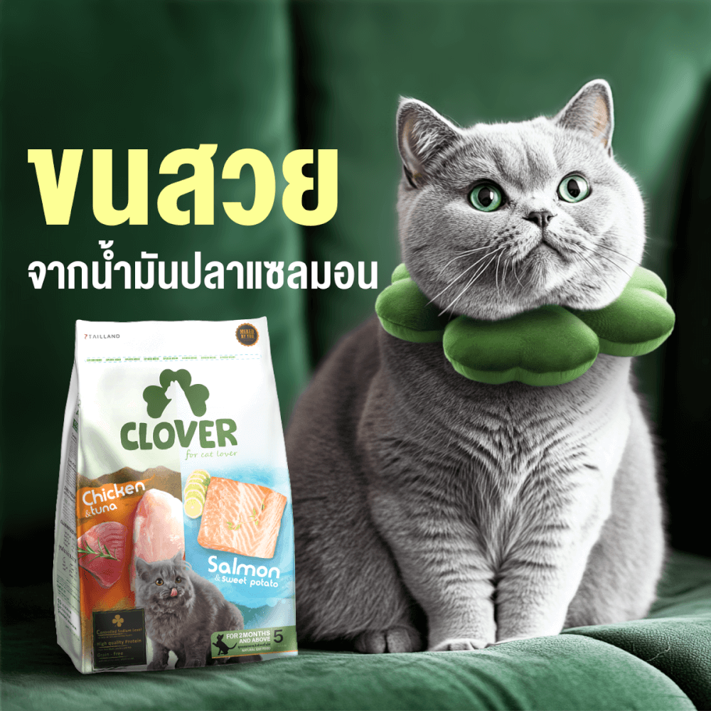 อาหารแมว CLOVER สูตร MIX BY YOU รสไก่กับทูน่า และแซลมอน เกรด HOLISTIC GRAIN-FREE โซเดียมต่ำ (1.5 KG)_6