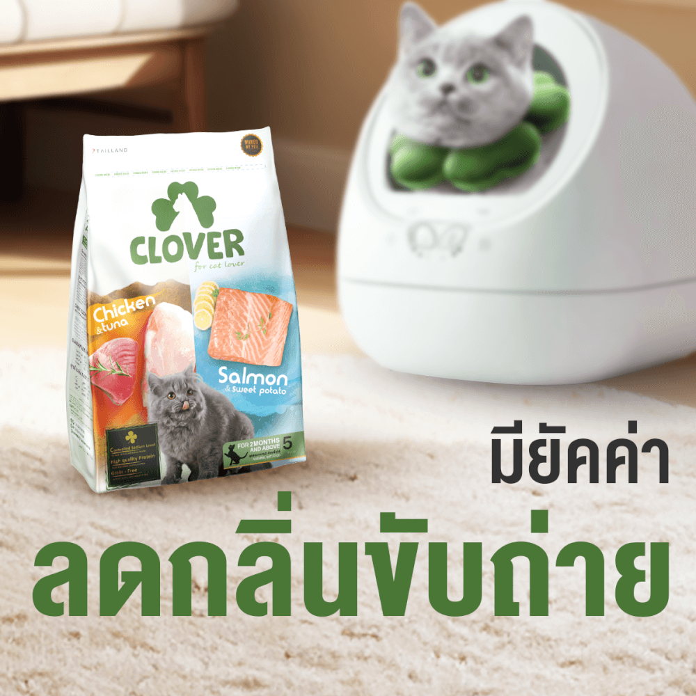 อาหารแมว CLOVER สูตร MIX BY YOU รสไก่กับทูน่า และแซลมอน เกรด HOLISTIC GRAIN-FREE โซเดียมต่ำ (1.5 KG)_8
