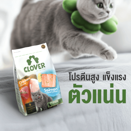 อาหารแมว CLOVER สูตร MIX BY YOU รสไก่กับทูน่า และแซลมอน เกรด HOLISTIC GRAIN-FREE โซเดียมต่ำ (400 G)_5