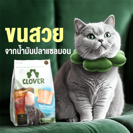 อาหารแมว CLOVER สูตร MIX BY YOU รสไก่กับทูน่า และแซลมอน เกรด HOLISTIC GRAIN-FREE โซเดียมต่ำ (400 G)_6