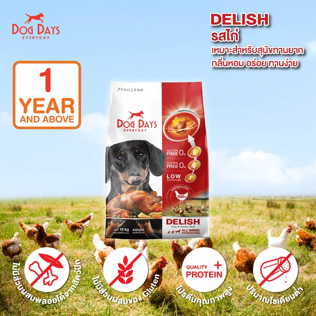 อาหารเม็ดสำหรับสุนัข DOG DAYS DELISH เกรดโฮลิสติก รสไก่ สูตรสำหรับสุนัขทานยากโดนเฉพาะ 3 กก. (ชุด 2 ถุง)_2