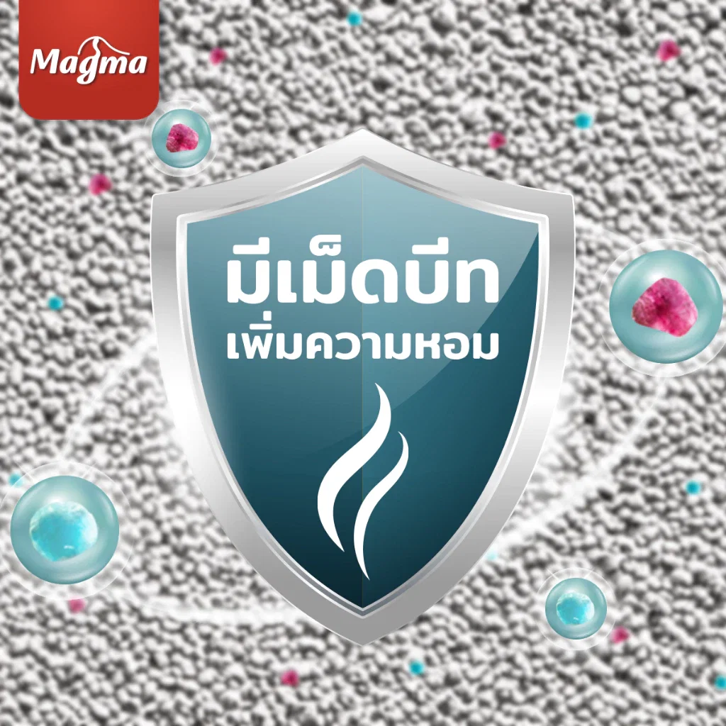 ทรายแมวเบนโทไนท์ MAGMA 10 ลิตร กลิ่นกาแฟ_2