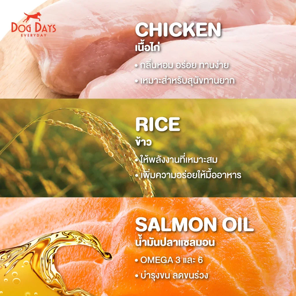 อาหารเม็ดสำหรับสุนัข DOG DAYS DELISH เกรดโฮลิสติก รสไก่ สูตรสำหรับสุนัขทานยากโดนเฉพาะ 3 กก. (ชุด 2 ถุง)_3