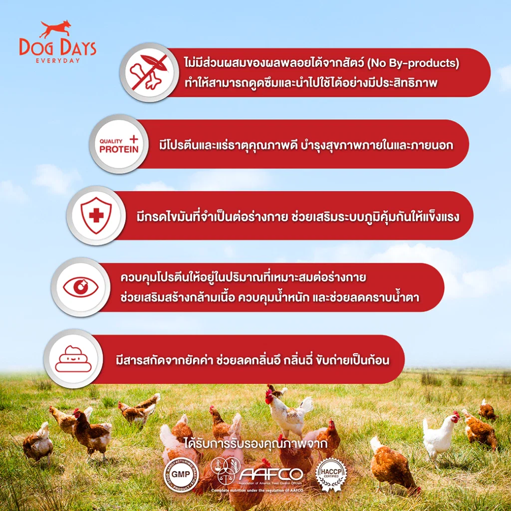 อาหารเม็ดสำหรับสุนัข DOG DAYS DELISH เกรดโฮลิสติก รสไก่ สูตรสำหรับสุนัขทานยากโดนเฉพาะ 3 กก. (ชุด 2 ถุง)_4