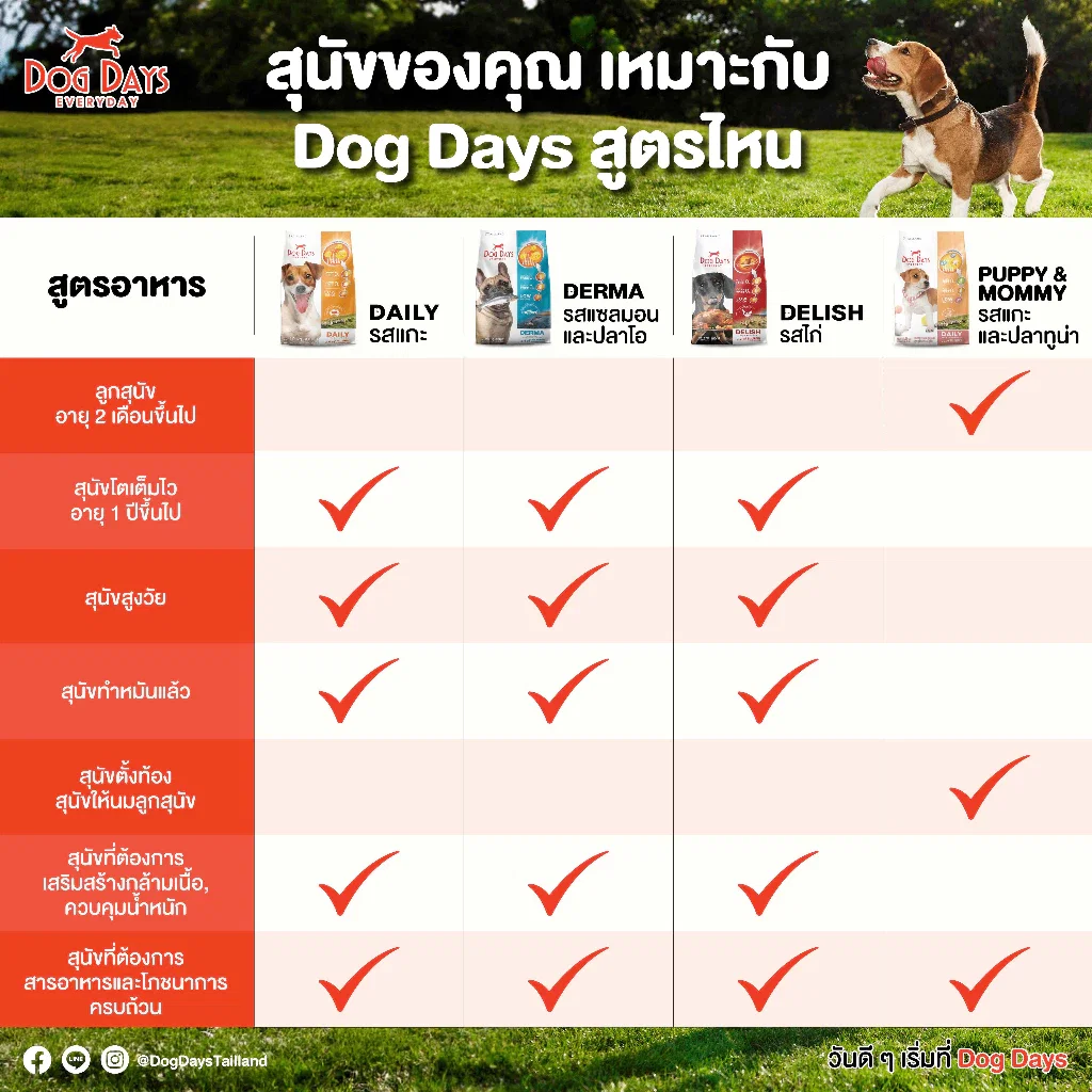 อาหารเม็ดสำหรับสุนัข DOG DAYS DAILY เกรดโฮลิสติก รสแกะและปลาทูน่า สูตร PUPPY & MOMMYโดยเฉพาะ 1.5 กก. (ชุด 2 ถุง)_7