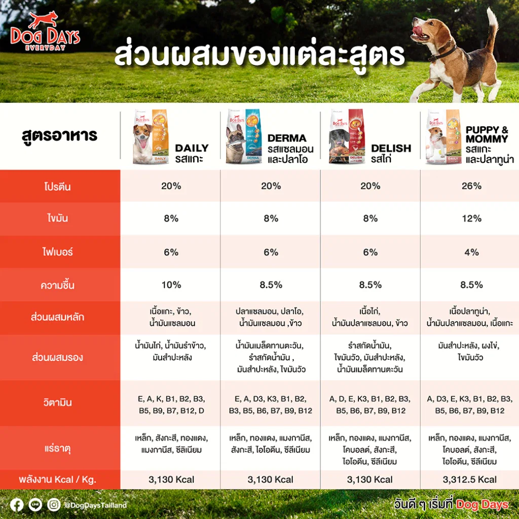 อาหารเม็ดสำหรับสุนัข DOG DAYS DELISH เกรดโฮลิสติก รสไก่ สูตรสำหรับสุนัขทานยากโดนเฉพาะ 3 กก. (ชุด 2 ถุง)_8