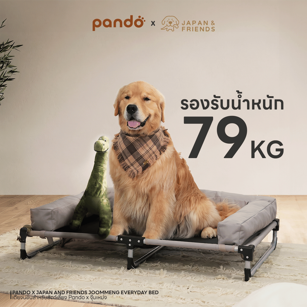 เตียงนอนสัตว์เลี้ยง PANDO X จุ๊มเหม่ง