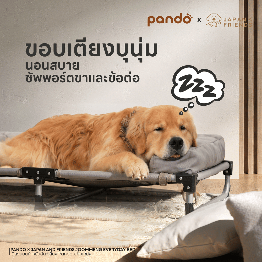 เตียงนอนสัตว์เลี้ยง PANDO X จุ๊มเหม่ง