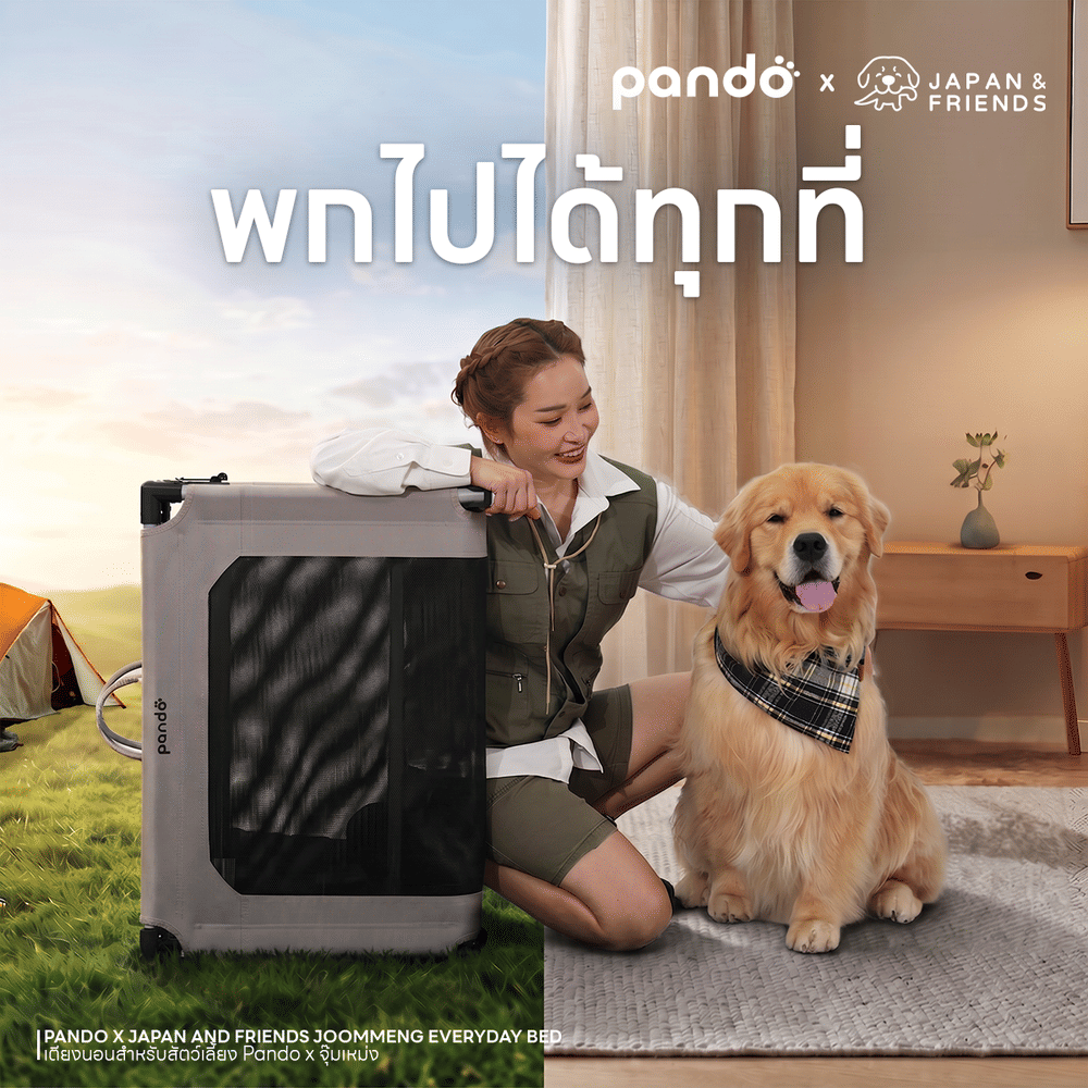 เตียงนอนสัตว์เลี้ยง PANDO X จุ๊มเหม่ง
