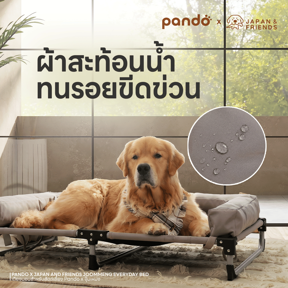 เตียงนอนสัตว์เลี้ยง PANDO X จุ๊มเหม่ง