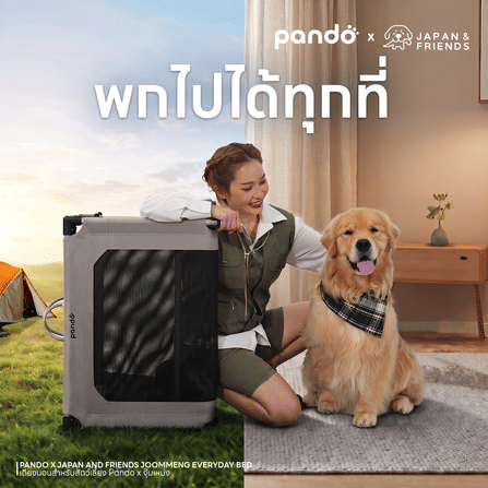 เตียงนอนสัตว์เลี้ยง PANDO X จุ๊มเหม่ง_4