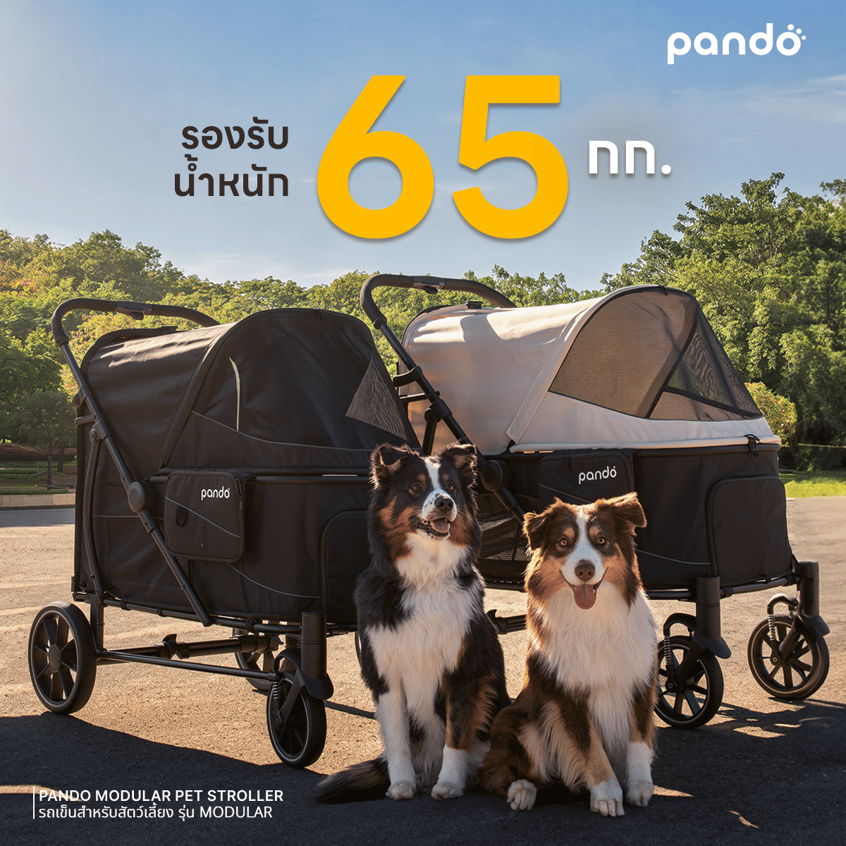 รถเข็นสัตว์เลี้ยง PANDO  รุ่น MODULAR สี IVORY_2