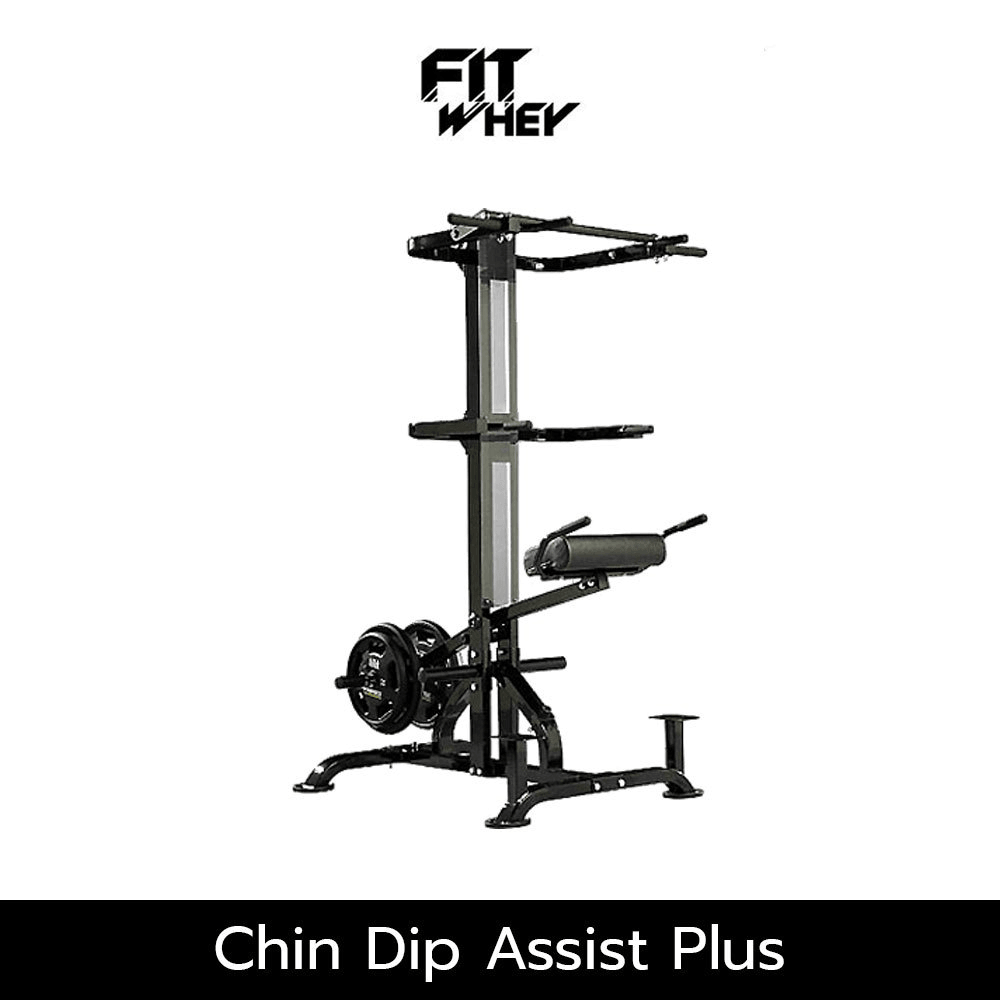 อุปกรณ์ออกกำลังกาย FITWHEY POWERTEC อุปกรณ์ CHIN DIP ASSIST PLUS L-CDA +13