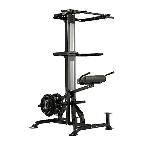 อุปกรณ์ออกกำลังกาย FITWHEY POWERTEC อุปกรณ์ CHIN DIP ASSIST PLUS L-CDA +13