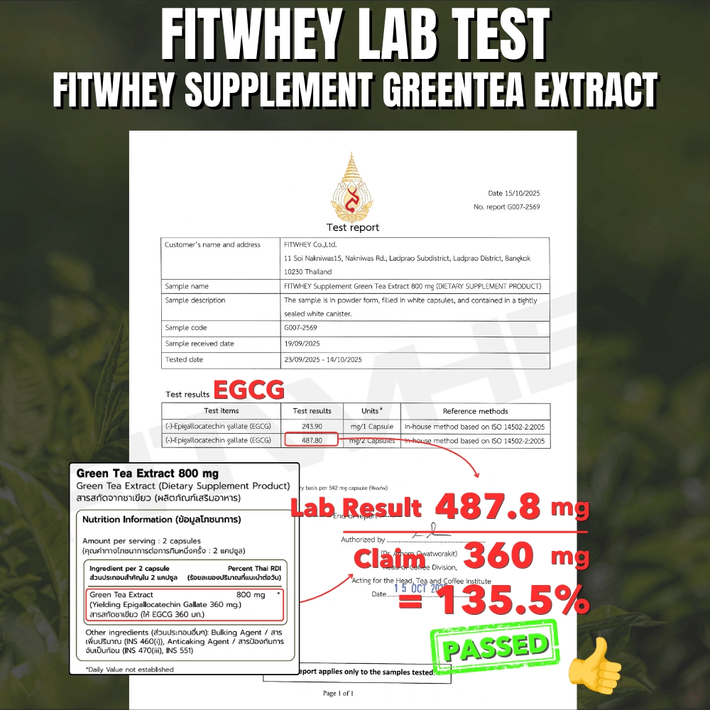 ผลิตภัณฑ์เสริมอาหาร FITWHEY SUPPLEMENTS GREEN TEA EXTRACT 800 MG - 30 แคปซูล_3