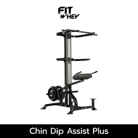 อุปกรณ์ออกกำลังกาย FITWHEY POWERTEC อุปกรณ์ CHIN DIP ASSIST PLUS L-CDA +13_0