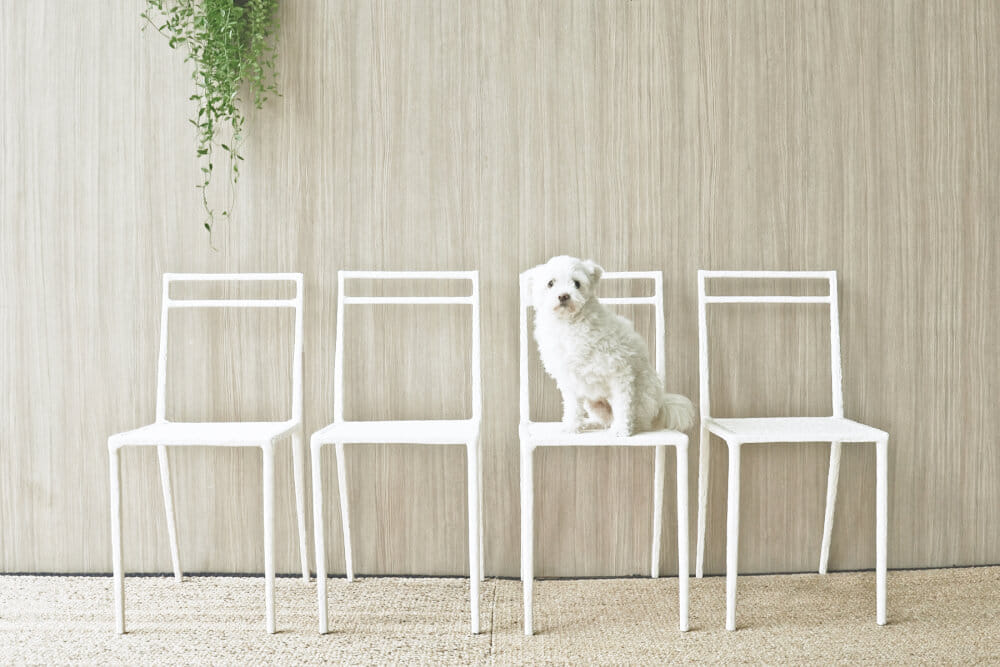 ชุดสนาม 6 ที่นั่ง INGFAH PATIO & OUTDOOR FURNITURE รุ่น POTTER COLLECTION สีขาวงาช้าง_2