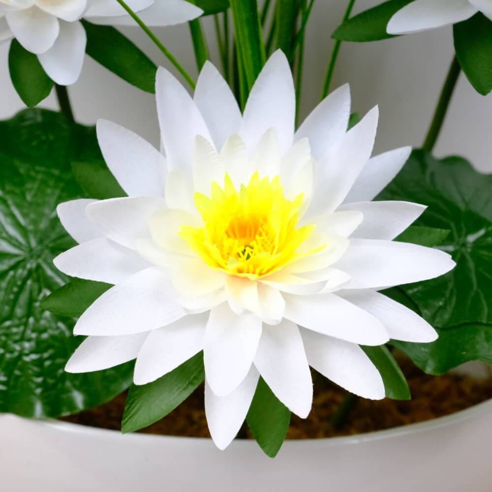 ดอกบัวสายประดิษฐ์ผ้าในแจกัน JGLORYFLOWER  สีขาว