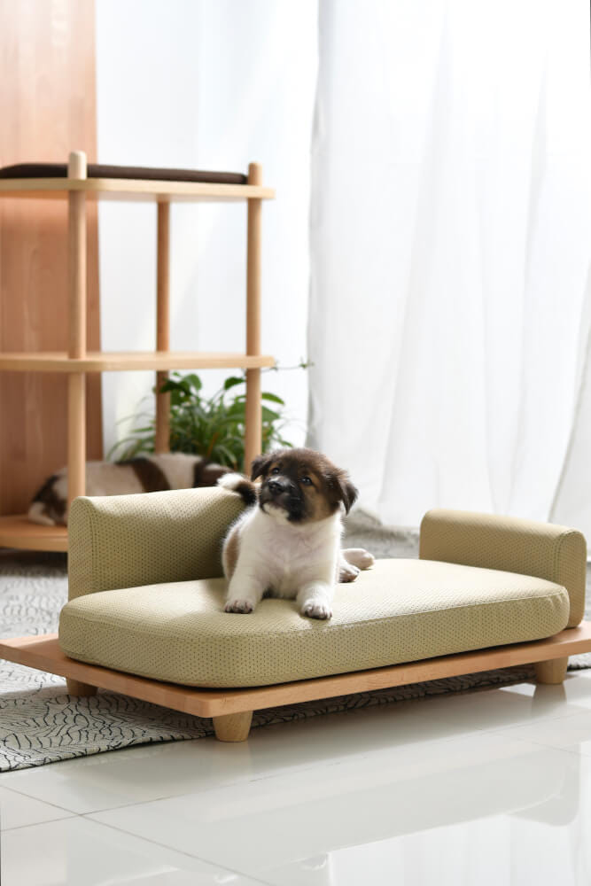โซฟาสัตว์เลี้ยง PRIMARY รุ่น DOG SOFA ไซต์ L 90X50X25 ซม. สีธรรมชาติ_4