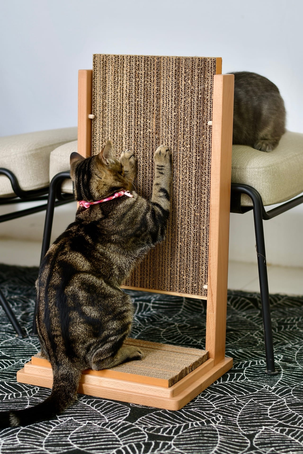 ที่ลับเล็บแมวตั้งพื้น PRIMARY รุ่น CAT SCRACHER 33X27X60 ซม. สีธรรมชาติ_4