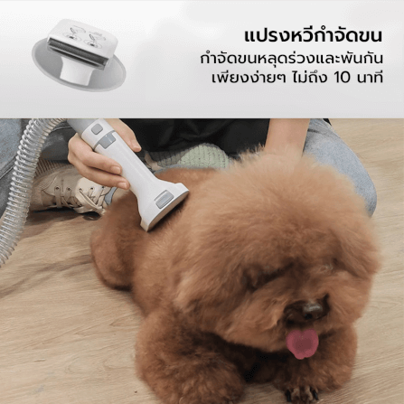 เครื่องตัดแต่งขน AFP PRO PET GROOMING VACUUM พร้อมหัว 7 แบบ หัวตัดขนอุ้งเท้า หัวตะไบเล็บ ปัตตาเลี่ยน กรอง HEPA_5