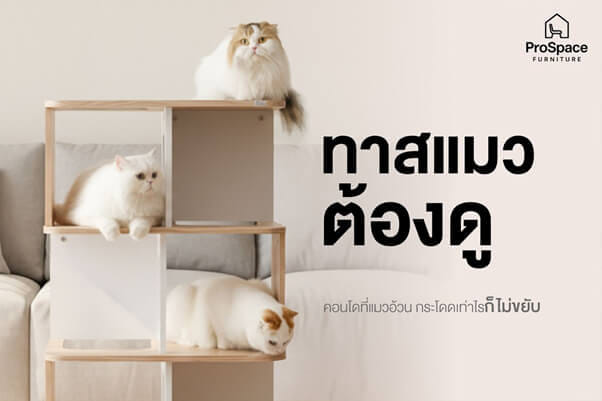 คอนโดแมว สไตล์มินิมอล PROSPACE FURNTIRUE ขนาด 60X40X127.5 ซม. สีไวท์เมเปิ้ล_3