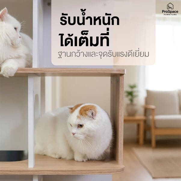 คอนโดแมว สไตล์มินิมอล PROSPACE FURNTIRUE ขนาด 60X40X127.5 ซม. สีไวท์เมเปิ้ล_5