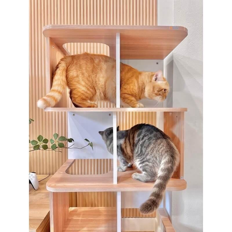 คอนโดแมว สไตล์มินิมอล PROSPACE FURNTIRUE ขนาด 60X40X127.5 ซม. สีไวท์เมเปิ้ล_8