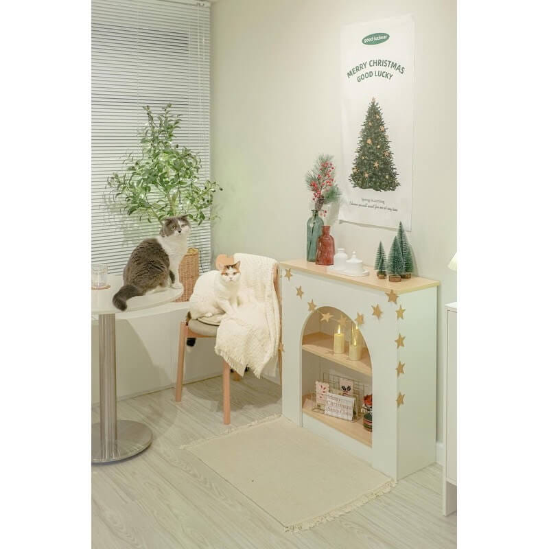 ตู้เตี้ย ดีไซน์เตาผิง PROSPACE FURNITURE รุ่น A ขนาด 80X25X80 ซม. สีขาว_9
