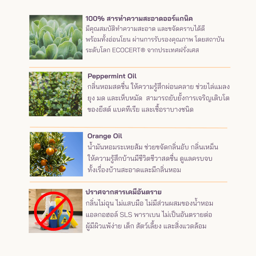 เซตน้ำยาทำความสะอาดอเนกประสงค์ PETTO BONNYS (ชนิดขวด + ถุงเติม) สูตรเข้มข้น กลิ่นเปปเปอร์มินต์และส้ม 600 มล._2